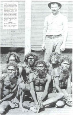 colonisation